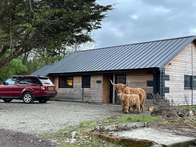 New Build Lodge With Stunning Views Of Loch Awe Hayfield (Argyll and Bute) Exterior foto